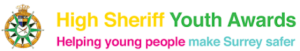 High-Sheriff-Logo-300x51 (1)